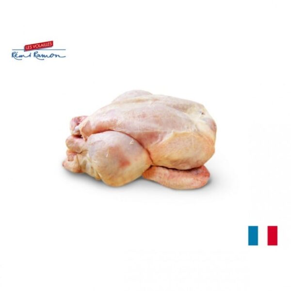 プーサン(possin)ﾌﾗﾝｽ産 ひな鶏 約450g～500g